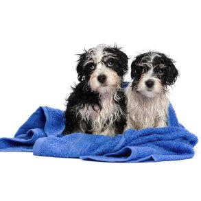 Div. Pleje Produkter