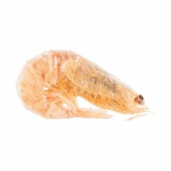 Frysetrret Rejer, 25g