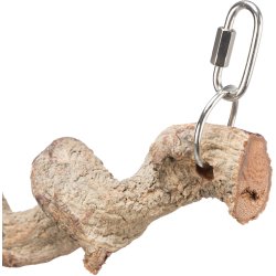 Siddepind af Dragetr, 36cm