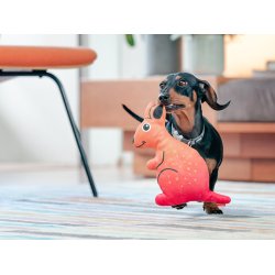 RedDingo Durables knguru