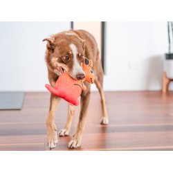 RedDingo Durables knguru