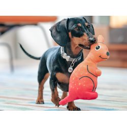 RedDingo Durables knguru