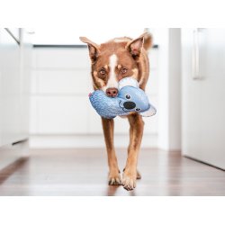 RedDingo Durables Koala