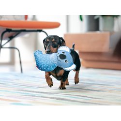 RedDingo Durables Koala