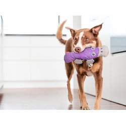 RedDingo Durables Nbdyr