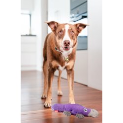 RedDingo Durables Nbdyr