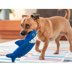 RedDingo Durables Haj