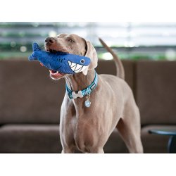 RedDingo Durables Haj