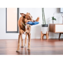 RedDingo Durables Haj