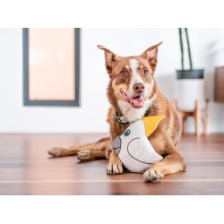 RedDingo Durables Kakadue