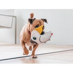 RedDingo Durables Kakadue