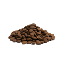 Essential The Beginning large 10kg