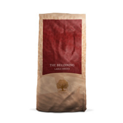 Essential The Beginning large 10kg