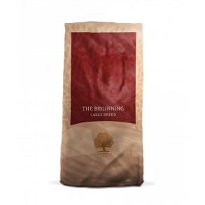 Essential The Beginning large 10kg