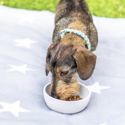 District70 Bambus skl S