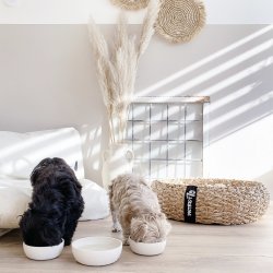 District70 Bambus skl M