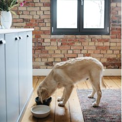 District70 Bambus skl M