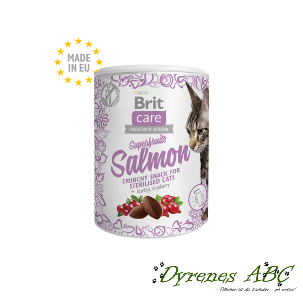 Brit Care Cat Snack Superfruits Salmon, 100g