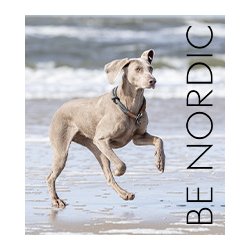 Be Nordic Brunold, Hval