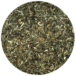 Nordic Horse Breathe