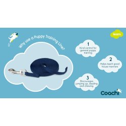 Coachi Hvalpe trningsline, 2,5m