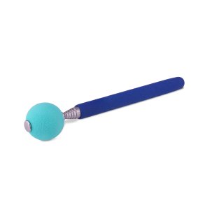 Coachi Target Stick
