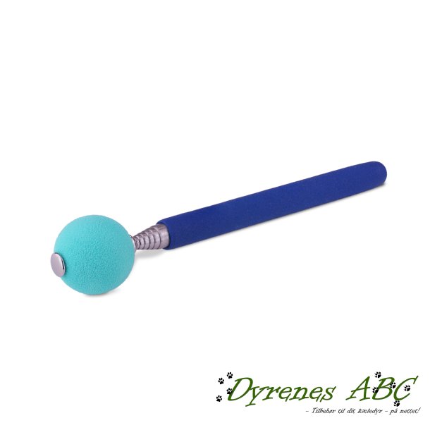 Coachi Target Stick