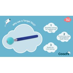 Coachi Target Stick
