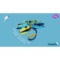 Coachi Tuggi Spider