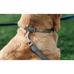 Project Blu Justerbar Halsbnd 35cm