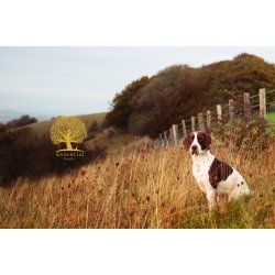 Essential Estate Living, 2,5kg	