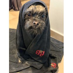 B&B Hndklde, 55x90cm