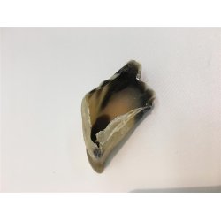 Kalveklove i pose/10stk