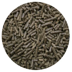 Nordic Horse Minty Omega - piller