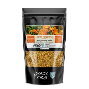 Nordic Horse Morgenfrue