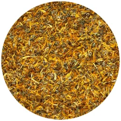 Nordic Horse Morgenfrue