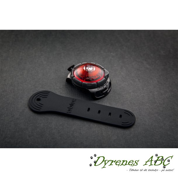 Orbiloc RED