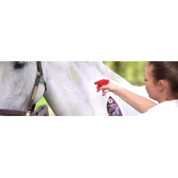 Leovet Stain Eraser Spray, 550ml