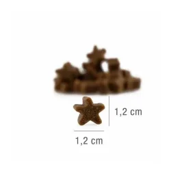 Platinum Stars godbidder - Turkey