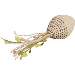 Cone Paplegetj t/kat