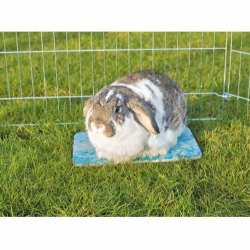 Kleplade til smdyr, 28x20cm